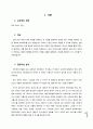 DNS server 최종 보고서 3페이지
