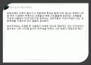 빛의조화(조명) 11페이지