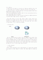제주삼다수 헤외진출위한 글로벌 마케팅전략 제안보고서 9페이지
