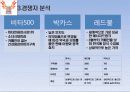 핫식스(HOT 6ix) 마케팅사례분석 및 전략제안 6페이지