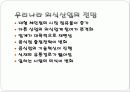 (A+자료) 21세기 세계 외식산업과 국내 외식산업의 변화 및 발전전망과 고객의 욕구충족 방법 조사분석 7페이지