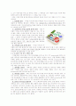 풀무원 마케팅사례분석및 새로운 마케팅전략제안보고서 17페이지