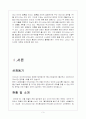 아이나비 마케팅전략분석보고서 3페이지