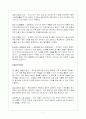 아이나비 마케팅전략분석보고서 11페이지