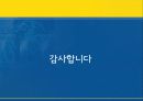 숙취해소음료 여명808 마케팅전략분석 파워포인트 33페이지