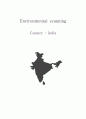 인도 화장품 시장조사 (Environmental scanning Country : India) 1페이지