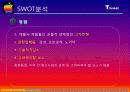 아이폰(iPhone) 마케팅 SWOT,STP,4P전략분석 및 성공요인분석과 앞으로의전략 (삼성 갤럭시S와 비교분석) 13페이지