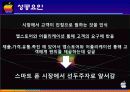 아이폰(iPhone) 마케팅 SWOT,STP,4P전략분석 및 성공요인분석과 앞으로의전략 (삼성 갤럭시S와 비교분석) 52페이지