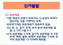 유아기의 발달과 부모역할 22페이지