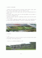 국내외 친환경 골프장 조성사례 분석 및 시사점 31페이지