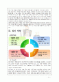 댕기머리샴푸 제품SWOT분석및 마케팅STP,4P전략분석보고서 - 시장환경, 환경분석, 발전방향 26페이지