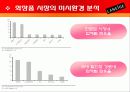 라네즈 laneige 브랜드분석및 마케팅전략분석 파워포인트 11페이지