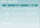 닌텐도DS SWOT분석및 마케팅전략 PPT 5페이지