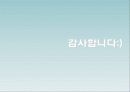 닌텐도DS SWOT분석및 마케팅전략 PPT 25페이지