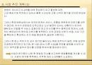 베트남의 진출 시업계획서 11페이지
