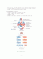 [간호학] 순환기계 (Circulatory system) 2페이지