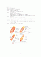 [간호학] 순환기계 (Circulatory system) 6페이지
