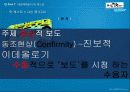 대안보도 [ 짧은 다리의 역습 ] 팟 캐스트방송과 SNS 트위터 7페이지