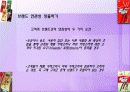 마켓팅원론 - 브랜드의 관리전략 (브랜드에도 포트폴리오가 필요하다) 12페이지