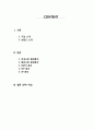 해외진출기업분석 - 설화수 2페이지