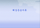 해상운송서류 1페이지