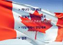 캐나다 선거 비교 - 1993년 전후의 선거와 2011년 선거를 중심으로 2페이지