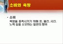 소비문화,마케팅,브랜드,브랜드마케팅,기업,서비스마케팅,글로벌,경영,시장,사례 3페이지