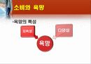 소비문화,마케팅,브랜드,브랜드마케팅,기업,서비스마케팅,글로벌,경영,시장,사례 5페이지