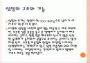 심장병 3페이지