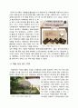 5단계. 소비 및 구매 후 평가 3페이지