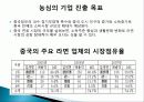 농심의 중국 시장 진입 및 확대 전략 4페이지