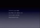 세계 육상선수권 대회 개최에 따른 대구지역 투자 11페이지