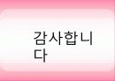 삼성 애니콜(Samsung Anycall) 전략 24페이지