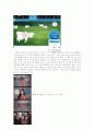 [마케팅원론]  소셜커머스(Social commerce) 10페이지