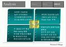 레저형 부동산의 대중화 13페이지