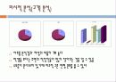 비선정-마케팅전략 9페이지