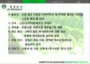 하이네켄(Heineken)의 마케팅 전략 분석 16페이지