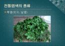 전통염색 17페이지