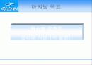 위스퍼(whisper) 마케팅 전략 7페이지