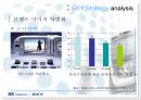 sky휴대폰,마케팅,브랜드,브랜드마케팅,기업,서비스마케팅,글로벌,경영 11페이지