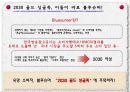싱글족,싱글마케팅,마케팅,브랜드,브랜드마케팅,기업,서비스마케팅,글로벌,경영,시장,사례 15페이지
