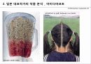 일본미술,일본예술,아트산업,미술산업,일본문화,현대미술 25페이지
