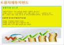 대체투자의 의의와 종류 17페이지