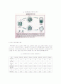  (국제경제론) IAEA와 대한민국의 원자력 레포트 (A+학점)  10페이지