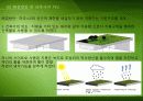 단독주택 발표자료 - 하우스S(독일 비스바덴에 위치) : 연장과 전환, 건축가의 의도 / 컨셉 5페이지