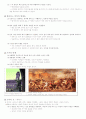 언어와 신화_정리노트_8부터14장 13페이지