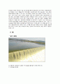 [수질관리] 호수의 부영양화(富營養化/eutrophication) 현상 10페이지