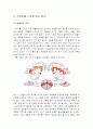 성과 문화적 재현 기말보고서 - 각선미에 대한 사람들의 환호의 원인 그리고 각선미를 가꾸기 위한 여성의 노력 4페이지