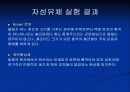 자성유체실험 5페이지