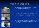 자성유체실험 7페이지